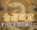 白蛇様のお導きを受け取る【本格金運鑑定】を行います 金運の滞りの原因を知り、根本から改善する方法をお伝えします イメージ1