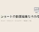 Youtube向けショート動画の編集承ります とりあえずショート動画から初めて見たい方向け イメージ1