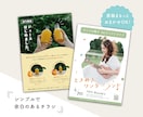 音楽ライブ・店舗・イベント用フライヤー作成します まるっとおまかせOK！シンプルで余白のあるチラシで集客◎ イメージ1