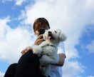愛するペットのお写真を可愛く撮影します データだけでなくフォトアルバムもセットでお渡しします！ イメージ4