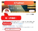 ココナラ×Twitter(X)で稼ぐコンサルします ビデオチャット60分、30日間質問無料、拡散サービス付 イメージ3
