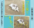 使えない写真を【使える写真に修正】します 色修正、切り抜き、合成、文字入れ等、まずはお問合せください！ イメージ3