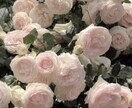 癒しボイスでお話し相手になります 癒しボイスと呼ばれる声でお話し相手になります♪ イメージ1