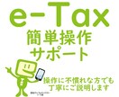 確定申告のためのe-Taxの操作方法サポートします マイナンバーカードを使ったe-Taxでの確定申告サポート イメージ1