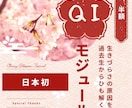 日本初☆タイムウェーバーQIモジュール分析します 現在の苦痛の体験を多角的に分析します イメージ1