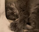 気持ちや考えを整理したいときの話し相手になります まとまっていなくても大丈夫　頭の中に少し風を通してみませんか イメージ1