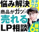 ガチプロが電話で売れるLP作成の個別相談を受けます テキストだけでなくビデオチャットで相談されたい方へ イメージ1
