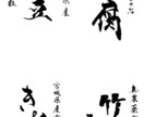 こだわりの商品を筆文字ロゴの力で日本中に届けます 商品パッケージ（食品等）、暖簾、看板の筆文字デザイン イメージ3