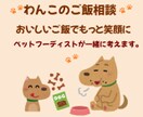 ワンちゃんの食事お悩み一緒に考えます うちの子のごはん、不安なままにしないために イメージ1