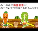 あなたのための【ストーリー紙芝居】作ります 事業の説明に！知人の結婚式のスピーチに！仕事にも趣味にも☆ イメージ4