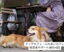 90分×3回犬カフェ経営者のお悩み解決します 犬の扱い方から犬と来客の関係性作りまで仕組み作りサポート！ イメージ1
