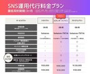 週1回投稿！30日間インスタ運用代行します 追加料金なしで動画作成◎効果的に拡散させます！ イメージ2