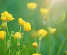 霊感霊視❀モヤモヤや不安を魂の視点で読み解きます やさしく感じ取りながら、「魂と身体の声」を丁寧にお伝えします イメージ8