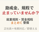 助成金対応の就業規則・賃金規程を整備します 助成金と労務リスクに強い就業規則を一括整備 イメージ1