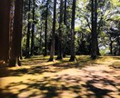 こんな悩みを抱えたあなたの話を聞きます 他人だからこそ気楽に話せる。身近だから話せないこともある。 イメージ1