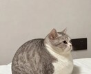 愚痴聞き、悩み・恋愛相談、話し相手、何でも聞きます あなたの気持ちを最優先!!秘密厳守！愚痴・雑談OK イメージ2