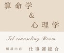 適職・才能・転職のタイミングなど仕事運鑑定します 歴18年✨算命学電話鑑定　臨床心理士として就労相談経験多数 イメージ1