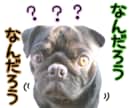 ペットボイスクリエイター。ペットの声届けます 貴方のペットが、何を思っているのか？などを紐解きます イメージ2