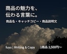 ECサイトの商品紹介文・説明文を作成します ネットショップ運営経験を活かし、商品の魅力を丁寧に言語化 イメージ1