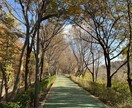 寒い夜にお話相手になります 元バーテンダーアシスタントが落ちつける時間を提供します イメージ3