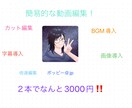 簡易的な動画編集を最安値でお届けします そんな堅苦しくないよ！気軽に相談だけでも！ イメージ1