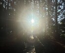 家族や夫婦の悩み聞きます なんでも聞きます。本気で今の生活を変えたいと思う方に イメージ1