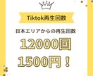 最安！Tiktok再生回数増加させます 日本エリアからの再生回数12000回が1500円！！ イメージ1