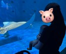 ポンコツ母ちゃんが全力で受け止めます 我慢しないで！よく頑張ってるよ！ イメージ2