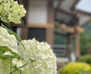 現役のお坊さんが話し相手になります 気軽にどうぞ！短時間でもOK！お坊さんと話しませんか？ イメージ1