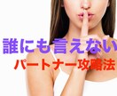 誰にも言えないパートナーの攻略法教えます パートナーの性格を徹底的に解明！最高の関係構築をアドバイス！ イメージ1