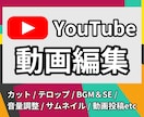 YouTube動画編集します サムネイルや動画投稿等もオプションにあります イメージ1