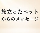 旅立ったペットからあなたへのメッセージを霊視します 最期の想い・今の様子・あなたへ伝えたいことを読み取ります イメージ1