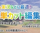 長時間動画も要望通りにカット編集します 様々形式に対応!長時間でも要望通りにカット編集! イメージ1