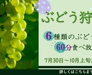 目を惹くWEB画像制作します SNS画像、バナー広告、ヘッダーなどのデザインを制作します！ イメージ3