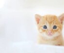 同業者必見！治療家の為のお悩み相談をします 患者様を治すことや、就職前後の相談。なんでも構いません！！ イメージ6