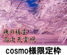 魂の精霊高次元霊視を実施します 魂の精霊を呼び出し高次元霊視を行います。 イメージ1