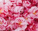 はじめてのアロマテラピーデビューをお手伝いします アロマって何から始めたらいいの？を解決！ イメージ2