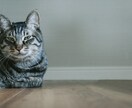 あなたのお話なんでも聞きます 今すぐ誰かに聞いてほしいこと。お話ししてみませんか？ イメージ8