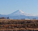 障がい児者に関わるスタッフ研修を致します 障がいのある児童、就労支援に関するアドバイスとスタッフ研修。 イメージ1