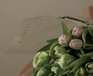 集客UP！SNS向けショート動画を制作します SNSで差がつく！プロの仕上がりをお届け。 イメージ2
