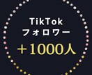 TikTokフォロワー1000人増加させます 最安値挑戦！30日間の減少保証！ イメージ1