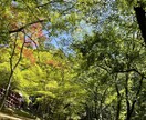 秘密厳守‼︎大丈夫〜安心して。何でもお話聞きます 3人子育て18年。私の経験があなたを癒せますように。 イメージ3