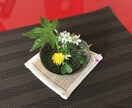 貴方が嫌いな自分自身を癒して許して手離します 幸せを知ってください。人は幸せにしかならないのです。 イメージ6