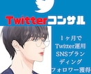 1ヶ月Twitterマーケティングサポートします SNSコンサル・Twitterコンサル・SNSコンサル イメージ1