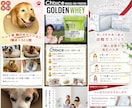 楽天+YAHOOショッピング 商品ページ作成します サムネイル + 画像 10枚 + PC用HTMLコーディング イメージ2