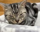 なんでもお話、雑談聞きます なかなか弱音が吐けない、溜め込んじゃう方、繊細さんへ イメージ1
