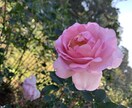 将来の仕事について悩んでる人の話をききます 就活、転職活動中の方、これからについて一緒に考えましょう！ イメージ1