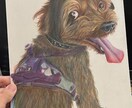 愛犬や愛猫、動物のイラストを描きます ペットのイラストで、一生の思い出作りを！ イメージ1
