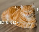 優しく共感◎心が軽くなる愚痴ききます いつでもあなたの味方です。聞かせてにゃ イメージ1