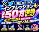 X（旧Twitter）インプ５０万以上増加させます 【時間分散増加】Xインプ５０万以上増加！振分＆いいね♥対応可 イメージ1